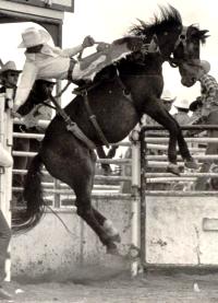 Cowboy Poet Mike Puhallo